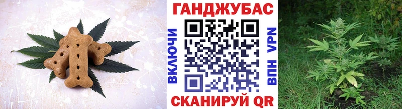 Canna-Cookies марихуана  где найти   Чистополь 