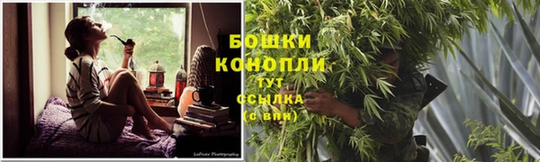 твердый Володарск