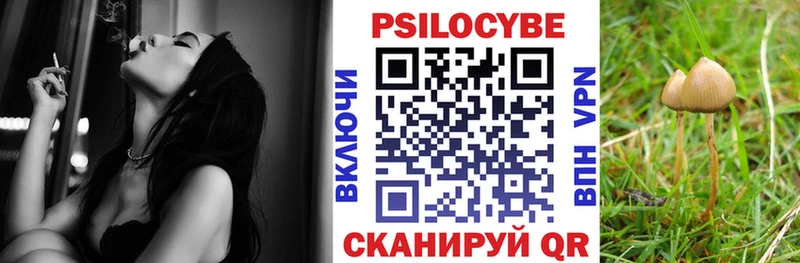 Псилоцибиновые грибы Magic Shrooms  купить наркоту  Чистополь 